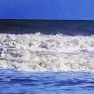 Meet your Posher, Jen